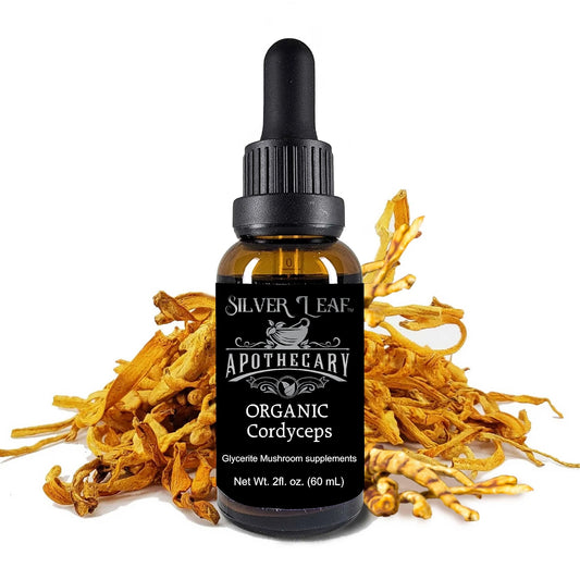 Organic Cordyceps (Cordyceps Militaris)